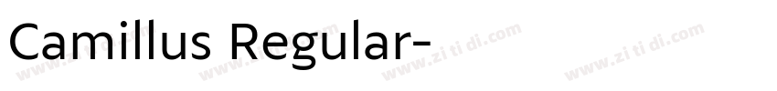 Camillus Regular字体转换 Camillus Regular字体转换